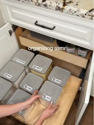 Target Bins + Canva Labels = Pantry Organization Goals